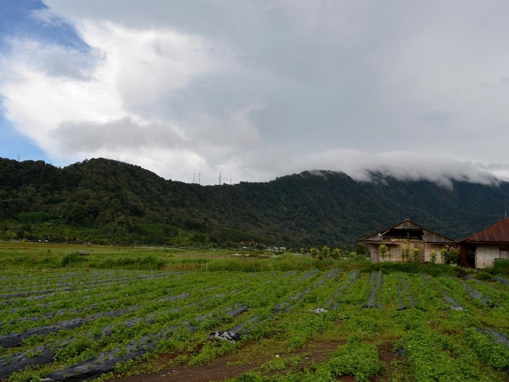 Dajan Buyan Homestay Бедугул Екстериор снимка